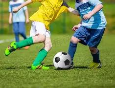 廣東球隊輸,球需重視內,部溝通,亚博体育,亚博体育官网,亚博体育app,亚博体育下载